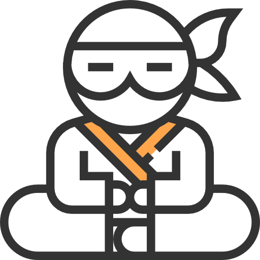 Ninja icon