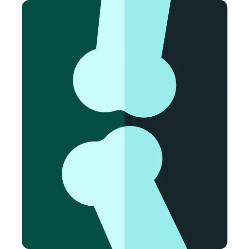 X ray icon