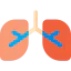 Lungs icon 64x64