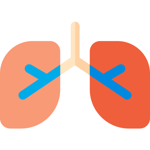 Lungs icon
