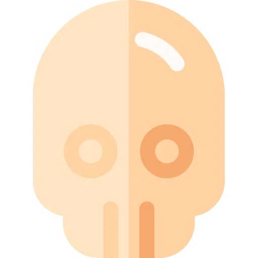 Skull icon