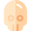 Skull icon 64x64