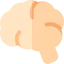 Brain icon 64x64