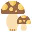 Mushroom icon 64x64