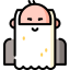 Wise icon 64x64