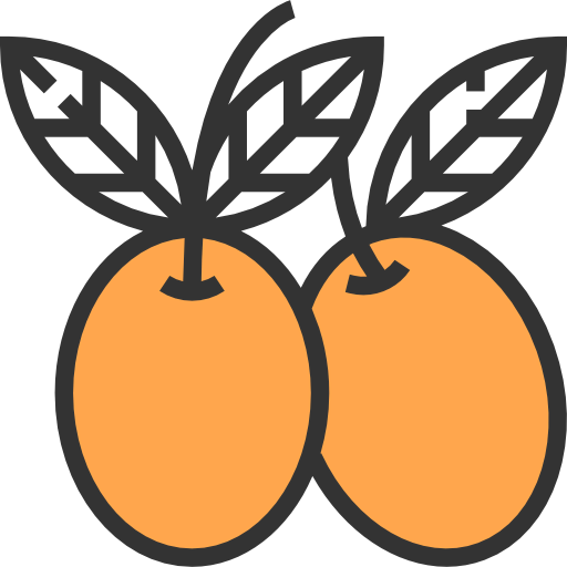 Olives icon