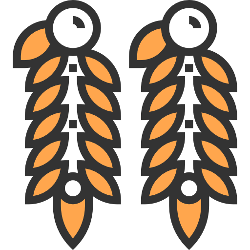 Earrings icon