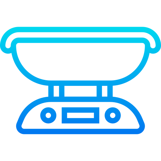 Scale icon