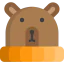 Hat icon 64x64