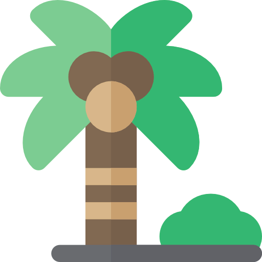 Coconut tree icon