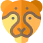 Leopard ícone 64x64