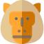 Baboon icon 64x64
