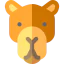Camel icon 64x64