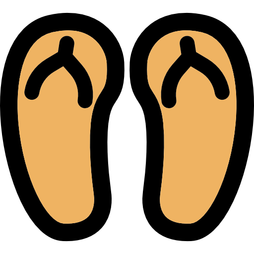 Flip flops icon