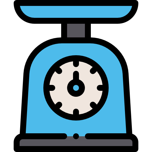 Scale icon