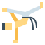Capoeira 图标 64x64