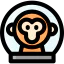 Monkey icon 64x64