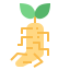 Ginseng icon 64x64