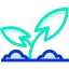 Leaves icon 64x64