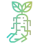Ginseng icon 64x64