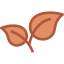 Leaves icon 64x64