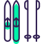 Ski Ikona 64x64
