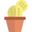 Cactus icon 64x64