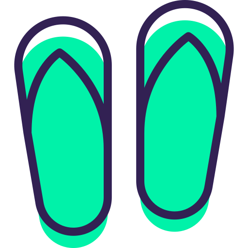 Flip flops icon