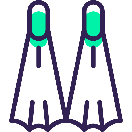 Flippers icon