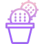 Cactus icon 64x64