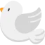 Pigeon icon 64x64