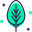 Leaf icon 64x64