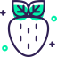 Strawberry icon 64x64