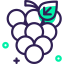 Grapes icon 64x64