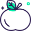 Tomato icon 64x64