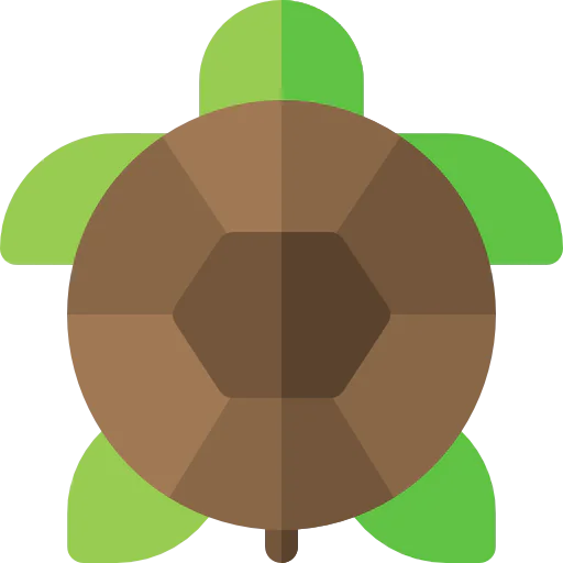 Turtle icon