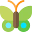 Butterfly icon 64x64
