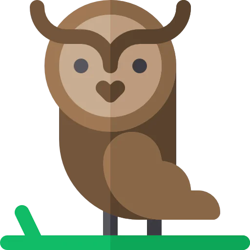 Owl icon