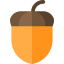 Acorn icon 64x64