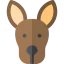 Kangaroo icon 64x64