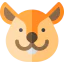 Squirrel icon 64x64