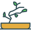 Bonsai icon 64x64