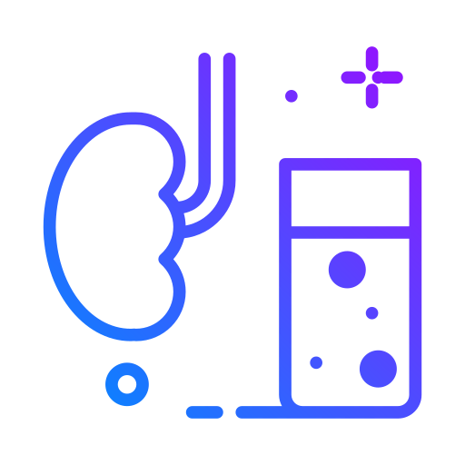 Kidneys icon