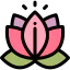 Lotus icon 64x64