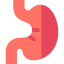Stomach icon 64x64