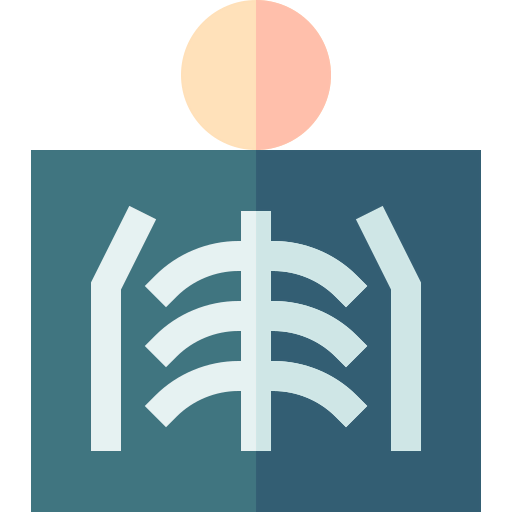 X ray icon