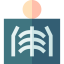 X ray icon 64x64