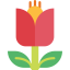 Flower icon 64x64