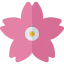 Cherry blossom icon 64x64