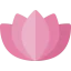 Lotus icon 64x64